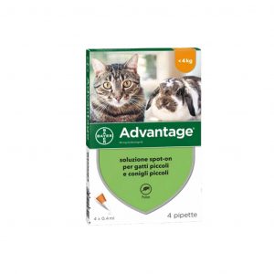 ADVANTAGE GATTO Elanco