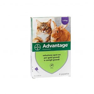 ADVANTAGE GATTO, Elanco, antiparassitario spot-on per gatti, antiparassitario spot-on per conigli,