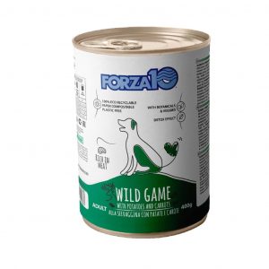 FORZA10 MAINTENANCE- NUOVE RICETTE Forza10