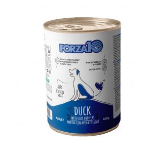 FORZA10 MAINTENANCE- NUOVE RICETTE Forza10