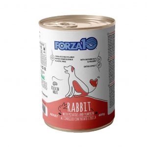 FORZA10 MAINTENANCE- NUOVE RICETTE Forza10