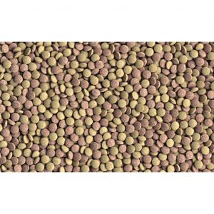 TETRA TABLETS TABIMIN Tetra