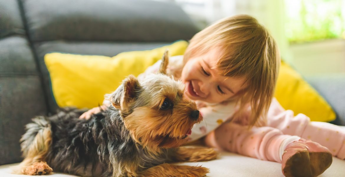 cani e bambini, animali domestici, primo lutto, rapporto cani e bimbi, gioco per bimbi, legame cane bimbo