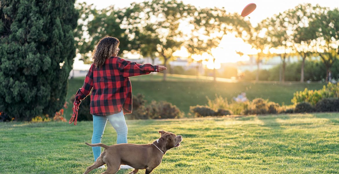 Giochi da fare con il cane, giochi da fare col cane in casa, giochi per cani, giochi per cani iperattivi,