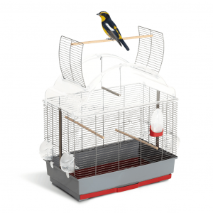 Leopet Gabbia per Uccelli Olga, gabbia uccelli,