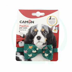 papillon camon, camon papillon per cani,