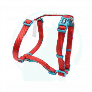 pettorina cane, pettorina camon,