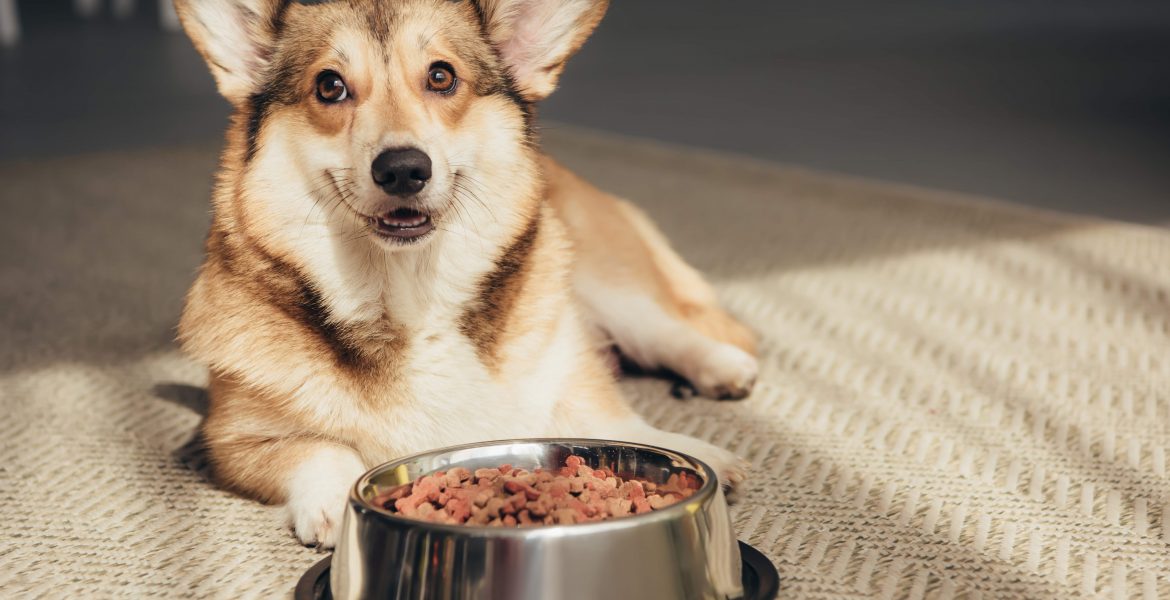 royal canin, forza 10, monge, natural trainer, exclusion,