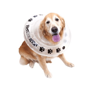 BooBooLoon Collare Elisabettiano,