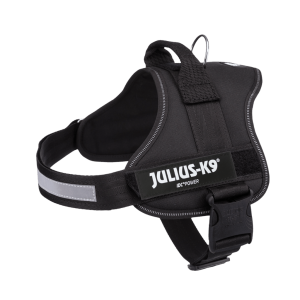 Pettorina Julius, Pettorina per cani medi e grandi, pettorina per cani Julius K-9,