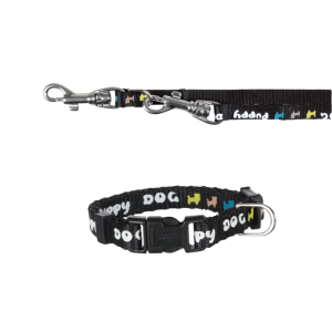 collare e guinzaglio coordinati,