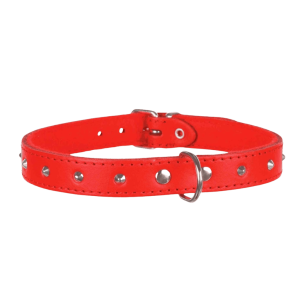 Trixie Collare in cuoio con borchie,