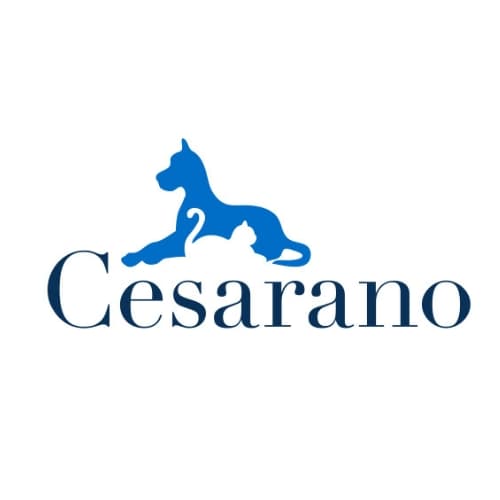 Cesar Pet