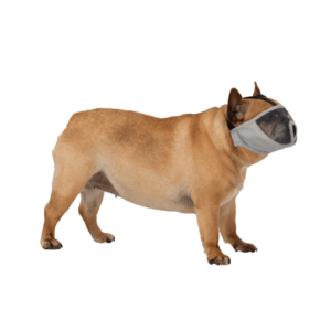 Trixie Museruola Bulldog Inglese cane