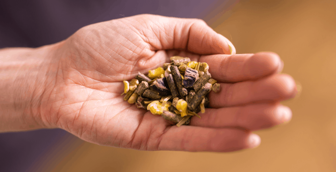 Alimentazione di qualità per roditori Mangimi realizzati con i migliori ingredienti, mangimi all pet, padovan, manitoba, vitakraft,