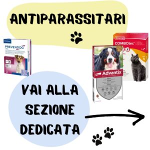Antiparassitari La Scelta Migliore Per Cani E Gatti Antiparassitari cani e gatti