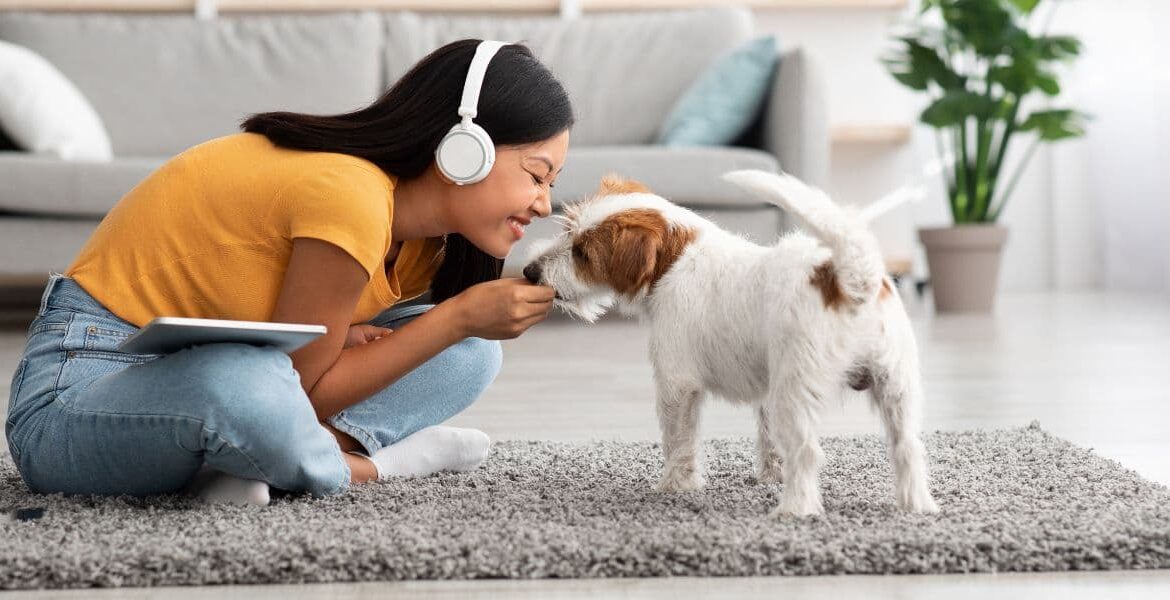 Consigli e suggerimenti, La Rubrica Lallosa,