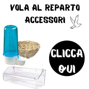 Gabbia Per Uccelli Cosa Non Deve Mai Mancare Accessori per uccelli