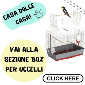 Gabbia Per Uccelli Cosa Non Deve Mai Mancare Box per uccelli