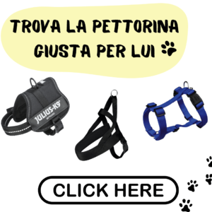 I migliori collari, pettorine e guinzagli per cani pettorine