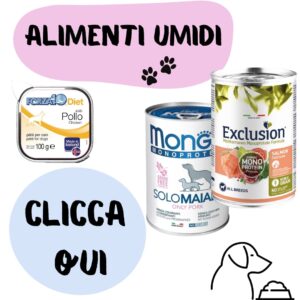 Perché scegliere un’alimentazione per cani monoproteica Alimenti umidi