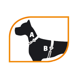 Ferplast Pettorina Agila Fantasy Misure, Ferplast, 