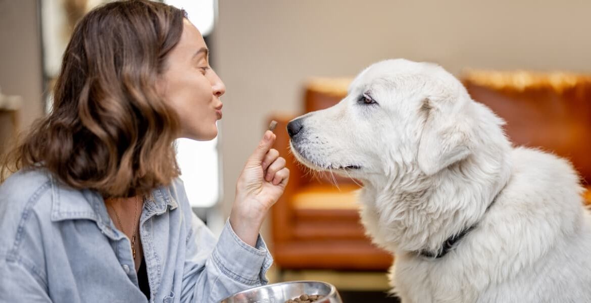 I consigli di Lallohallo. Cibi per cani Exclusion Tra le migliori scelte di acquisto, Alimenti Exclusion, Alimenti Secchi Cane Exclusion, Exclusion,