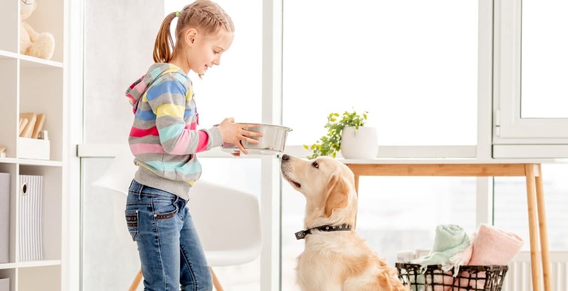 Monge uno dei consigli per gli acquisti di Lallohallo, Monge, Alimenti Secchi Monge, Alimenti Secchi Cane,