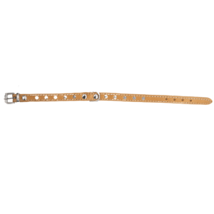 Trixie Collare Basic con Borchie Naturale, Trixie,