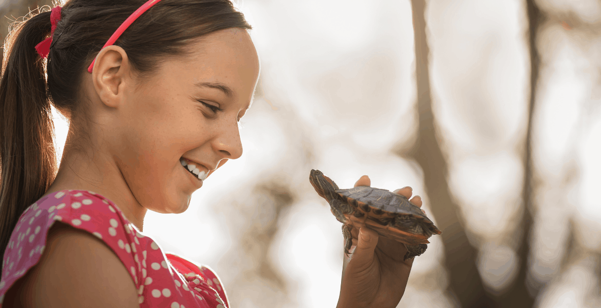 Le Tartarughe D'acqua, cosa c' è da sapere, tartarughe acquatiche,