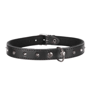 Trixie Collare Basic Nero con Borchie, Trixie, collare per cani di piccola taglia,
