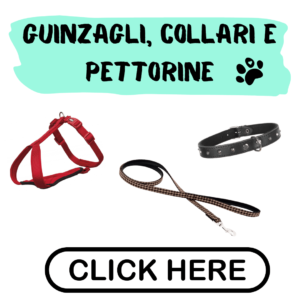 Pettorine Tre Ponti e Guinzagli