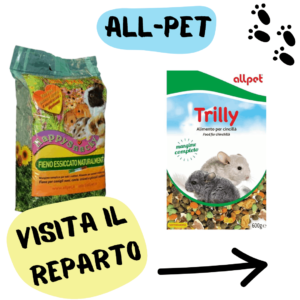Mangimi Per Roditori Come e quali scegliere All-Pet, All-Pet, 