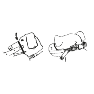 Museruola Trixie, Trixie,