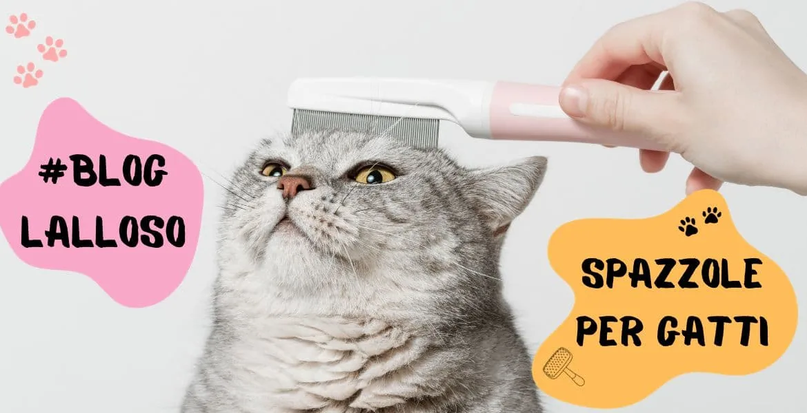 spazzole e pettini per gatti,