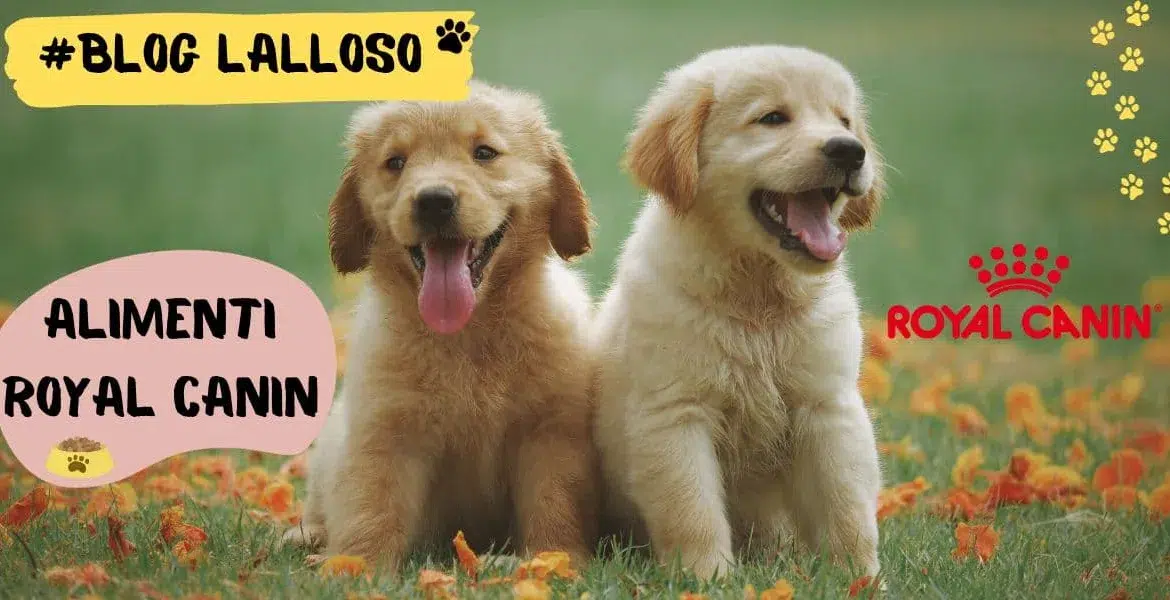 benefici nutrizionali di Royal canin, qualità di royal canin,