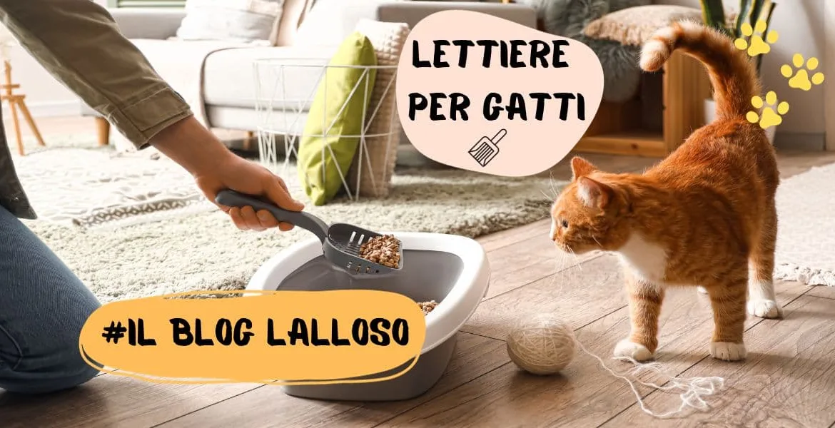 miglior lettiere per gatti, lettiera minerale,