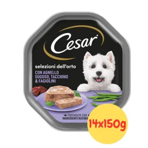 Cesar per Cani Ricetta Selezioni dell'orto con Agnello,