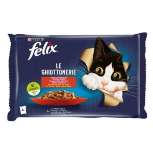 Le ghiottonerie manzo e pollo,