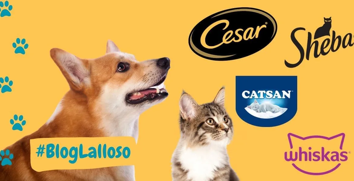 prodotti mars, alimenti per animali domestici,